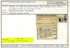 Karteikarte zum Holotyp von Cristellaria larva Stache, 1864